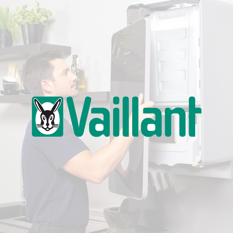 vaillant-jpg